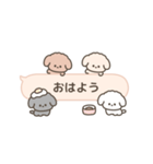 吹き出しで遊んでるトイプードル（個別スタンプ：5）