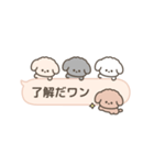 吹き出しで遊んでるトイプードル（個別スタンプ：10）