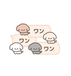 吹き出しで遊んでるトイプードル（個別スタンプ：12）