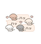 吹き出しで遊んでるトイプードル（個別スタンプ：24）