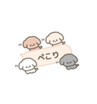 吹き出しで遊んでるトイプードル（個別スタンプ：36）