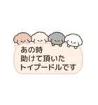 吹き出しで遊んでるトイプードル（個別スタンプ：37）