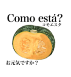 国産かぼちゃ 【ポルトガル語】（個別スタンプ：4）