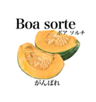 国産かぼちゃ 【ポルトガル語】（個別スタンプ：16）