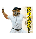 ⭐虎党スタンプ＠阪神地区【とらほー！】（個別スタンプ：12）