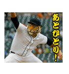 ⭐虎党スタンプ＠阪神地区【とらほー！】（個別スタンプ：21）