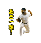 ⭐虎党スタンプ＠阪神地区【とらほー！】（個別スタンプ：24）