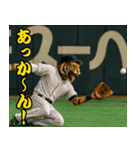 ⭐虎党スタンプ＠阪神地区【とらほー！】（個別スタンプ：27）