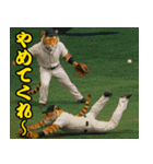 ⭐虎党スタンプ＠阪神地区【とらほー！】（個別スタンプ：31）