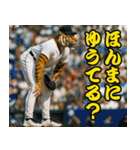 ⭐虎党スタンプ＠阪神地区【とらほー！】（個別スタンプ：35）