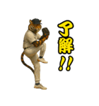 ⭐虎党スタンプ＠阪神地区【とらほー！】（個別スタンプ：36）