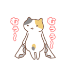 ねこねこの住み家5（個別スタンプ：16）