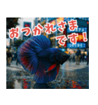 ⭐ベタ 闘魚【毎日使えるペットシリーズ】（個別スタンプ：4）
