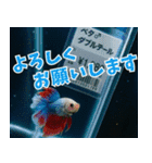 ⭐ベタ 闘魚【毎日使えるペットシリーズ】（個別スタンプ：8）