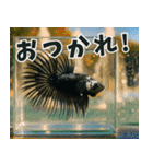 ⭐ベタ 闘魚【毎日使えるペットシリーズ】（個別スタンプ：18）