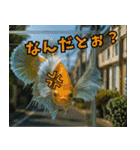 ⭐ベタ 闘魚【毎日使えるペットシリーズ】（個別スタンプ：30）