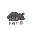 クレヨン画トイプー ブラック（日常会話）（個別スタンプ：2）