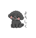 クレヨン画トイプー ブラック（日常会話）（個別スタンプ：3）