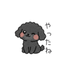 クレヨン画トイプー ブラック（日常会話）（個別スタンプ：8）