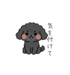 クレヨン画トイプー ブラック（日常会話）（個別スタンプ：9）