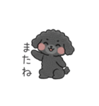 クレヨン画トイプー ブラック（日常会話）（個別スタンプ：10）