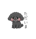 クレヨン画トイプー ブラック（日常会話）（個別スタンプ：11）