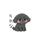 クレヨン画トイプー ブラック（日常会話）（個別スタンプ：13）