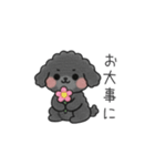 クレヨン画トイプー ブラック（日常会話）（個別スタンプ：14）