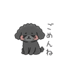 クレヨン画トイプー ブラック（日常会話）（個別スタンプ：15）