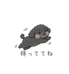 クレヨン画トイプー ブラック（日常会話）（個別スタンプ：19）