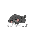 クレヨン画トイプー ブラック（日常会話）（個別スタンプ：20）