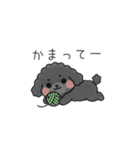 クレヨン画トイプー ブラック（日常会話）（個別スタンプ：22）