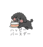 クレヨン画トイプー ブラック（日常会話）（個別スタンプ：25）