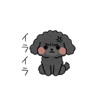 クレヨン画トイプー ブラック（日常会話）（個別スタンプ：28）
