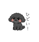 クレヨン画トイプー ブラック（日常会話）（個別スタンプ：29）