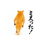 パリピ横揺れ柴犬（個別スタンプ：5）