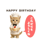 着ぐるみ子猫のお誕生日＆日常♪（個別スタンプ：4）