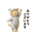 着ぐるみ子猫のお誕生日＆日常♪（個別スタンプ：20）