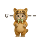 着ぐるみ子猫のお誕生日＆日常♪（個別スタンプ：34）
