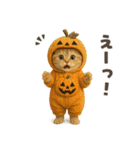 着ぐるみ子猫のお誕生日＆日常♪（個別スタンプ：36）