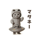 着ぐるみ子猫のお誕生日＆日常♪（個別スタンプ：37）