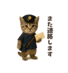 着ぐるみ子猫のお誕生日＆日常♪（個別スタンプ：38）