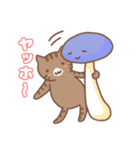 ねこねこの住み家6（個別スタンプ：1）