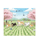 かわいすぎる！日本犬たちの日常スタンプ（個別スタンプ：5）