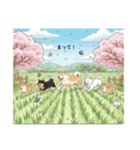 かわいすぎる！日本犬たちの日常スタンプ（個別スタンプ：18）
