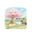 かわいすぎる！日本犬たちの日常スタンプ（個別スタンプ：24）