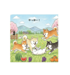 かわいすぎる！日本犬たちの日常スタンプ（個別スタンプ：31）