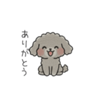 クレヨン画トイプー グレー（日常会話）（個別スタンプ：1）