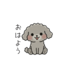 クレヨン画トイプー グレー（日常会話）（個別スタンプ：2）