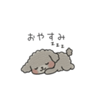 クレヨン画トイプー グレー（日常会話）（個別スタンプ：3）